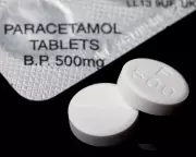 Sydney's Transport Crisis: Major Disruption as Trains Halt and Roads Gridlock Amid Power Failure