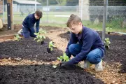 Tasmanian School Gardens Cultivate Brighter Futures: How Green-Thumb Learning is Boosting Pupil Wellbeing and Academic Results