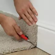 The £1 Kitchen Scrap That Will Transform Your Garden Soil & Deter Pests