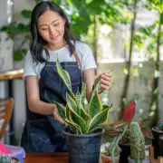The 1p Houseplant Hack That Banishes Yellow Leaves For Good | Gardening Expert Reveals