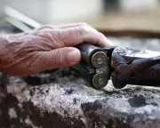 The Blood Sport Debate: Why 'Ethical' Arguments for Hunting Fail to Justify Killing Wildlife