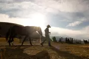 The Cowgirl Revolution: How Women Are Transforming the American West's Ranching Industry