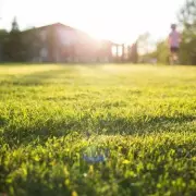 The One Simple Lawn Hack That Will Make Your Grass Grow Back Thicker & Greener