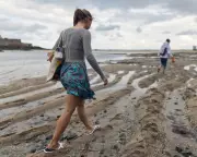 The School Trip That Exposes Britain's Deep Educational Divide: A Tale of Two Systems