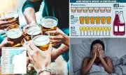 The Silent Sip: How Even Moderate Drinking Shrinks Your Brain and Scars Your Liver, Reveals Groundbreaking Oxford Study