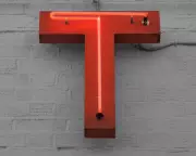 The T-Puzzle: The Deceptively Simple Brain Teaser That Stumps Almost Everyone