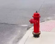 The Tiger Woods Scandal Quiz: Test Your Memory of the 2009 Cadillac Crash That Rocked Golf