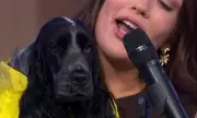 This Morning's 'Pup Idol' Segment Leaves Viewers Cringing and Baffled: 'What Were They Thinking?'