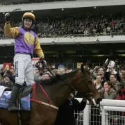Tony McCoy's Brave Inca Cheltenham Tragedy: Jockey's Harrowing Account of Champion's Final Moments