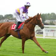 Tragedy at Epsom: Derby Contender Desert Hero Puts Down After Devastating Injury