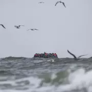 Tragedy in South Wales: Two Children Among Three Killed in Suspected Murder-Suicide