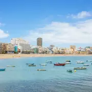 Tragedy Strikes: 11-Year-Old Girl Dies After Being Struck by Tree During UK Storm