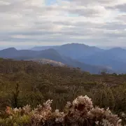 Tragic Discovery: Man Found Dead in UK Flat Nearly 24 Years After He Was Last Seen