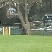 Tragic Storm Tree Death in Wiltshire: Man Killed as High Winds Batter UK