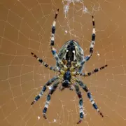 Transform Your Outdoor Space: The Ultimate Guide to Natural Stone Paving for a Stunning Garden