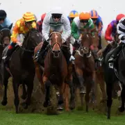 Tuesday's Racing Gold: Your Ultimate Guide to Four Unmissable UK Meetings