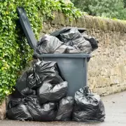 UK Bin Collection Crisis: 1 in 4 Councils Cut Services Amid Financial Strain