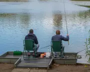 UK Councils Ban Shouting at Ponies in Crackdown on Rural Antisocial Behaviour