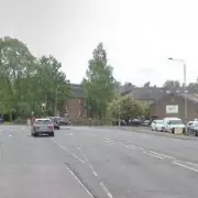 UK Dog Owner Hospitalised After Vicious Attack by XL Bully in Essex Street