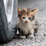 UK Drivers Warned: Check Under Your Car NOW to Avoid Costly Theft