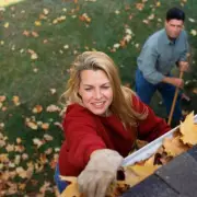 UK Gardeners Alert: Critical 10-Minute May Task Guarantees a Stunning Summer Garden