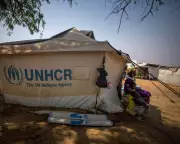 UN Faces Major Job Cuts as US Slashes Funding: 2026 Budget Crisis Looms