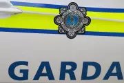 Urgent Search Underway for Missing Dublin Boy, 13, in Donabate Area | Independent