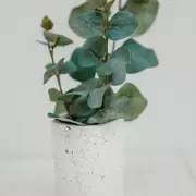 Urgent Warning For UK Homes: Check Your Kitchen For These 5 Unsafe Items Now