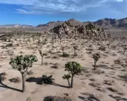 US National Parks Face Closure Crisis as Government Shutdown Looms