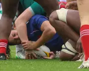 World Cup Dreams Dashed: France's Berthoumieu & Feleu Handed Nine-Match Bans for Disciplinary Breaches