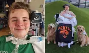 Wyoming Boy Paralyzed in Devastating Car Crash as Family Faces Turmoil and Legal Battle