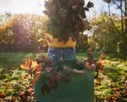 Your Essential Autumn Gardening Checklist: 10 Must-Do Tasks for a Thriving Garden