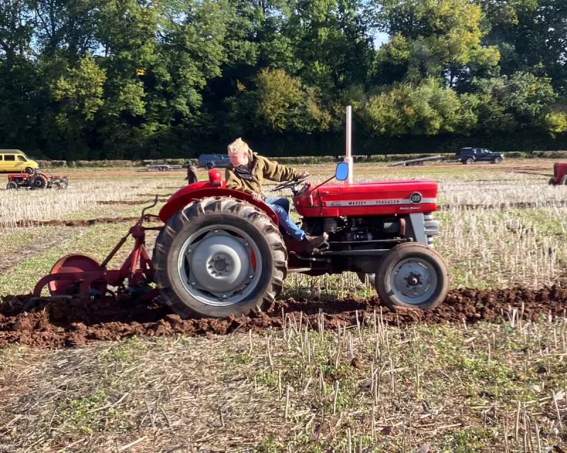 A Wild Morning at the Ploughing Match: Nature's Unexpected Spectacle
