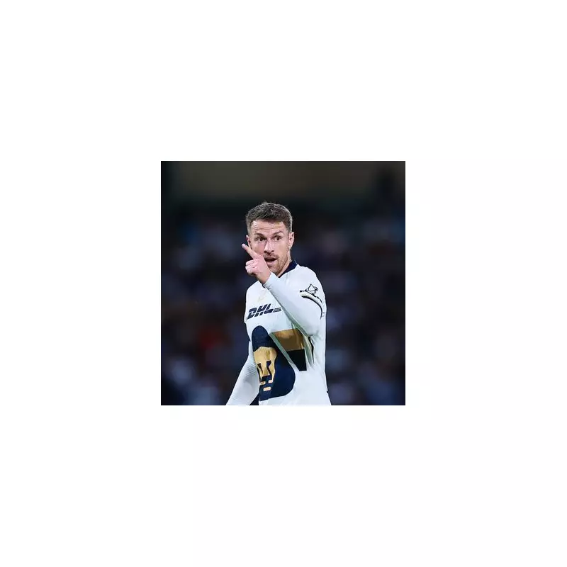 Aaron Ramsey's Family Pet Stolen in Mexico City Nightmare