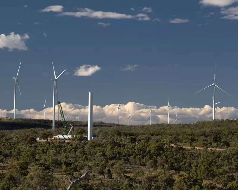 AI-Generated Fake Research Exposed: Queensland Anti-Renewables Group Cited Non-Existent Papers