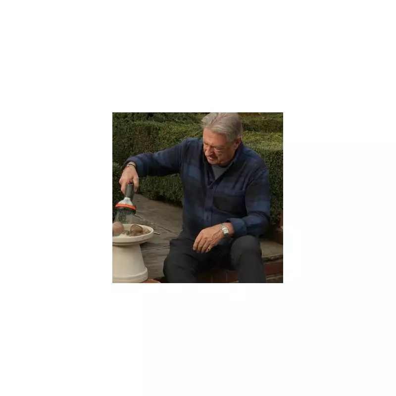 Alan Titchmarsh's Brilliant DIY Bird Feeder: A Simple Guide to Attracting Garden Birds