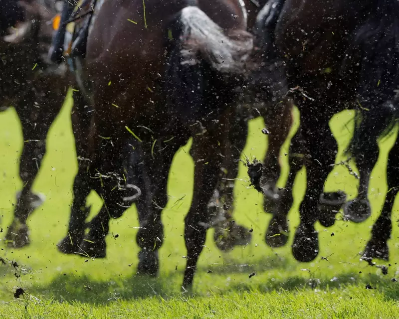 Alphonse Le Grande Aims to Defy History in Prestigious Cesarewitch Handicap