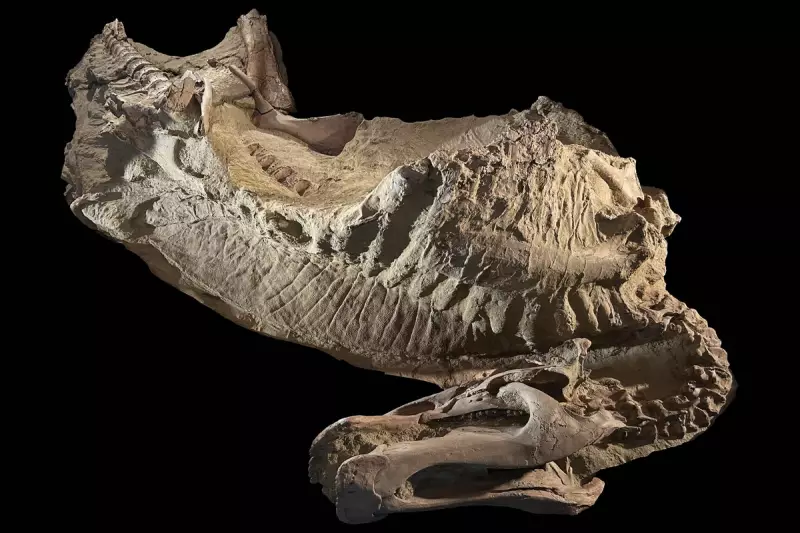 Ancient Egyptian Cancer Treatment Unearthed: Scientists Discover Medical Breakthrough in 4,000-Year-Old Skull