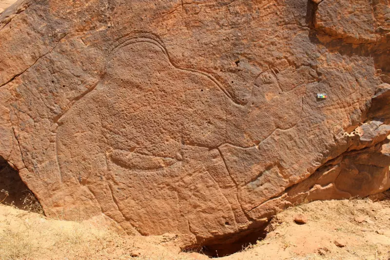 Ancient Saudi Desert Reveals Spectacular Animal Carvings That Rewrite History