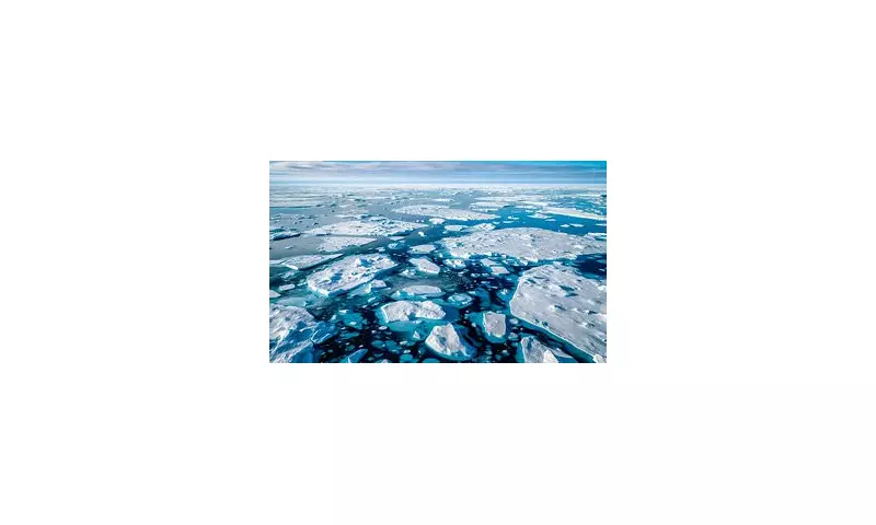 Arctic Secret Revealed: Scientists Discover 'Impossible' Life Thriving Beneath Polar Sea Ice