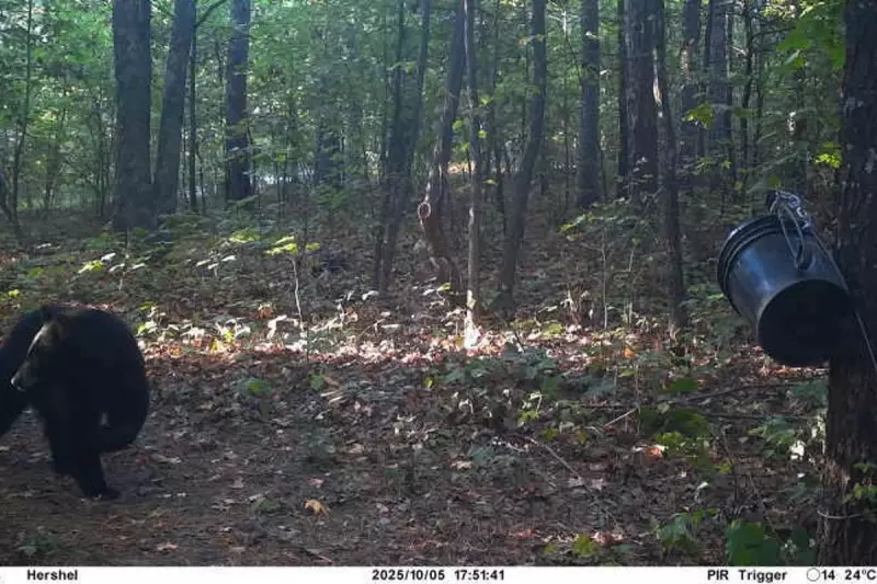 Arkansas Ravaged by Deadly Tornado Outbreak: Multiple Fatalities and Widespread Destruction