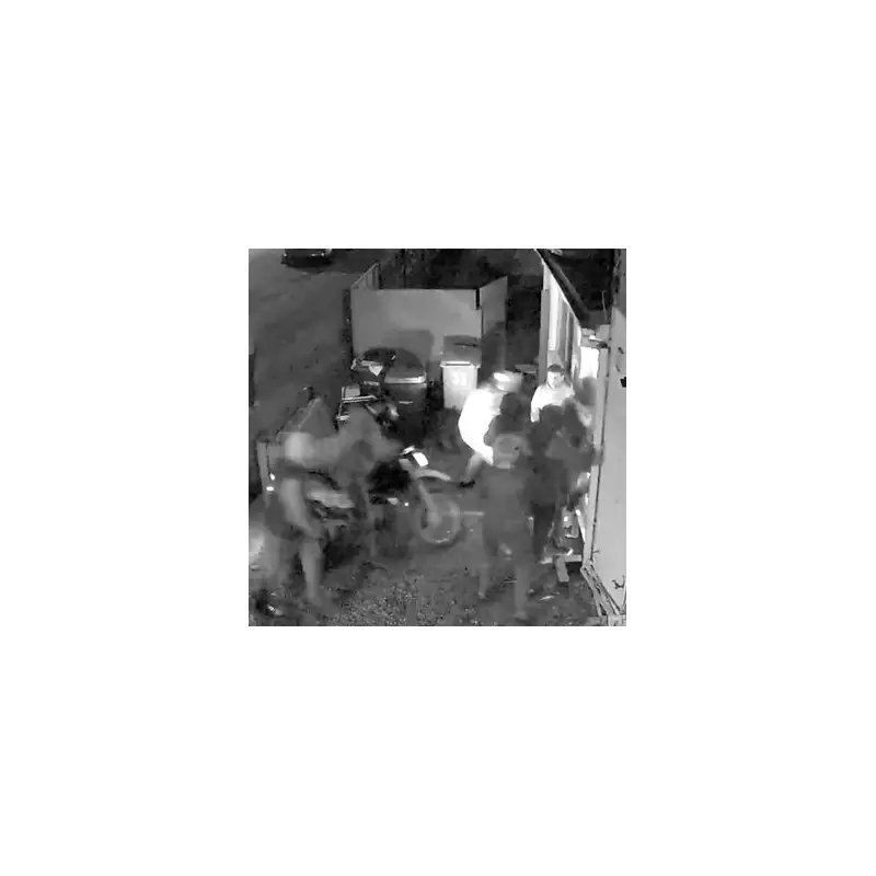 Armed Gang's Terrifying Raid on South London Home Caught on Camera | Exclusive Footage