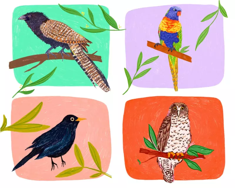 Australian Magpie Crowned Guardian's Bird of the Year 2025 in Record-Breaking Poll