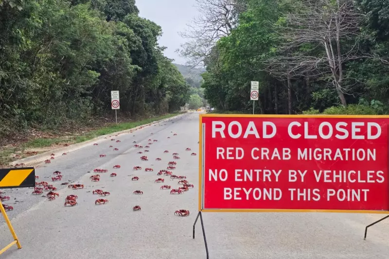 Australia's Christmas Island Population Plummets to Record Low as Residents Flee Remote Outpost