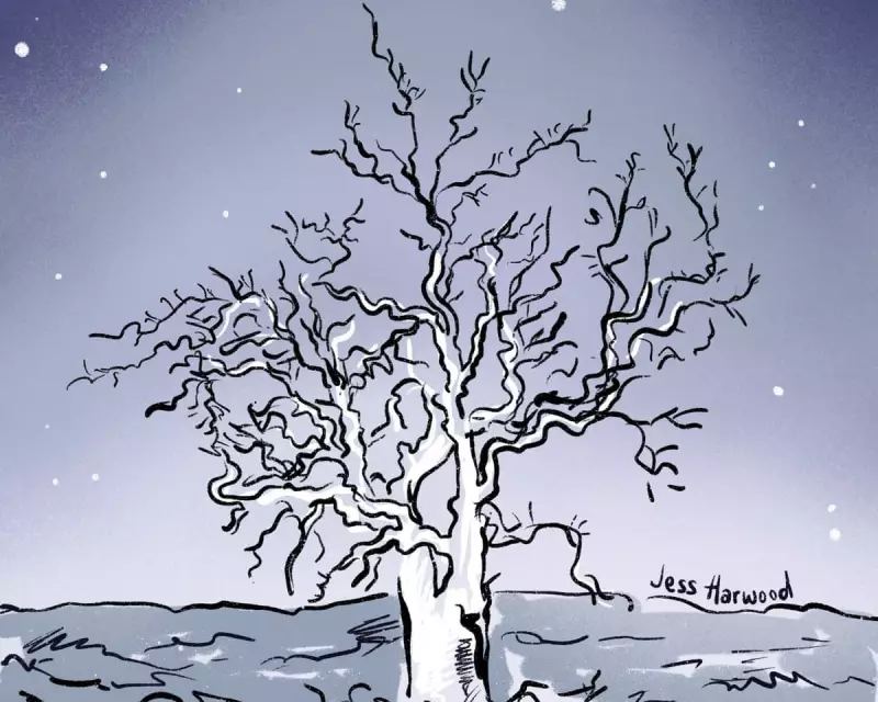 Australia's Ghostly Gums: The Haunting Halloween Trees Captivating Britain