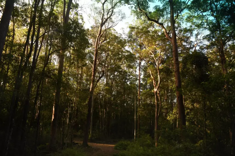 Australia's Wildlife at Crossroads: Will Labor Stand Against Coalition's Nature Policy Rollback?