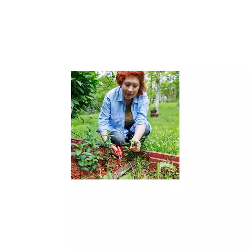 Banish Garden Weeds Forever: The Kitchen Scrap That Stops Them Growing