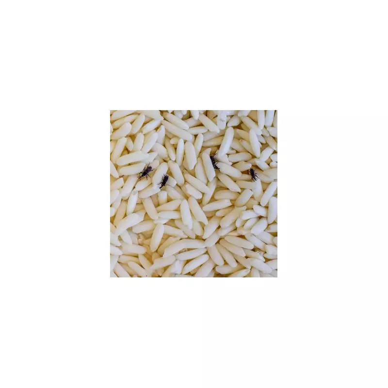 Banish Kitchen Pests for Good: 7 Expert Tips to Keep Your Cupboards Bug-Free