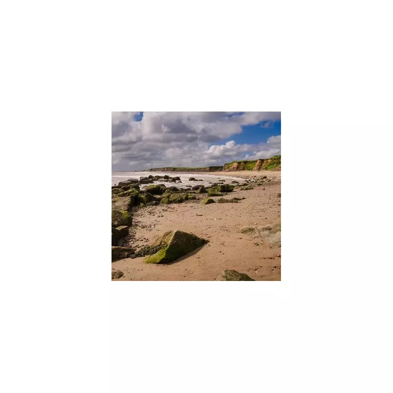 Beachcomber's Incredible Discovery: £70,000 Luxury Watch Found Washed Ashore on UK Coast