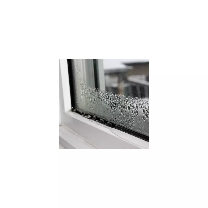 Beat Condensation for Good: The Simple £1 Trick That Saves You Hundreds on Energy Bills